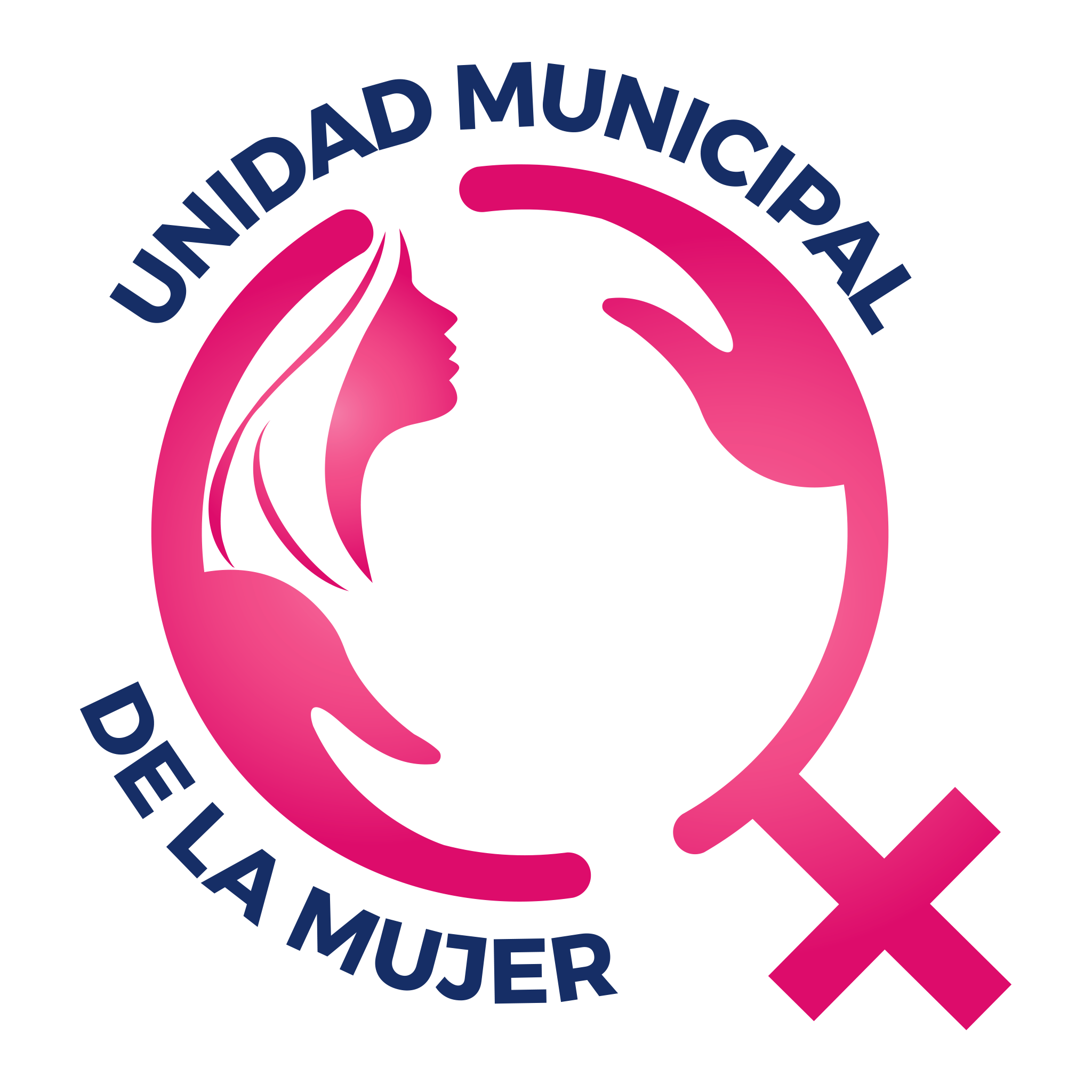 Programa Municipal